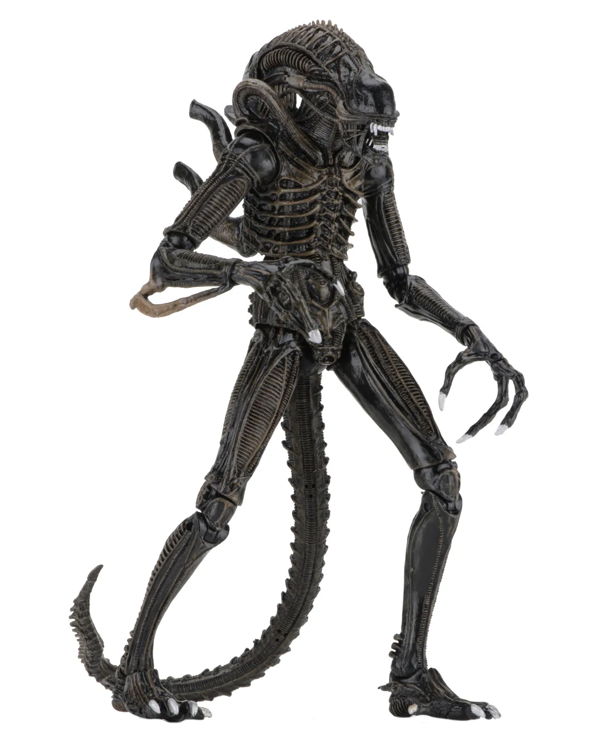 Alien Warrior Brown Aliens 1986 Ultimate Figurka 23 cm