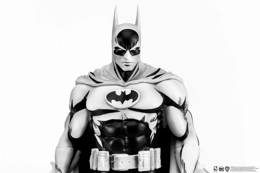 Batman DC Black & White Version PX 1/8 Figurka 27 cm - Image 9