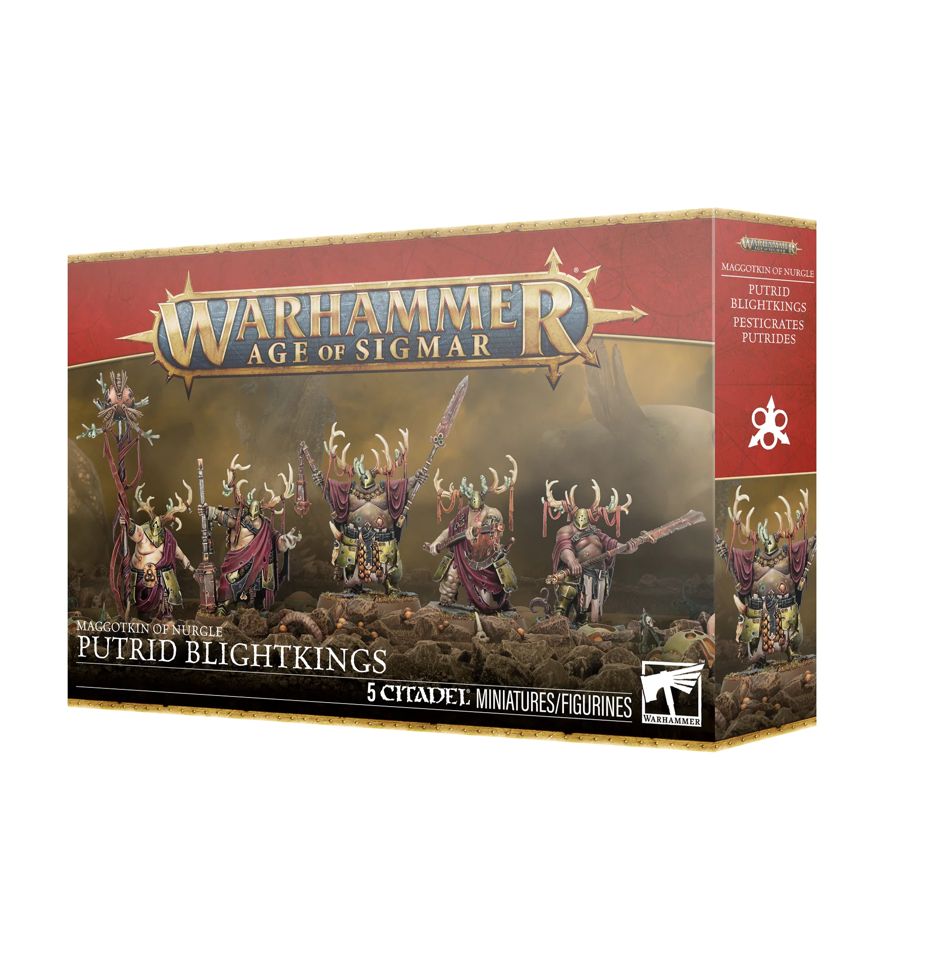 Maggotkin of Nurgle Putrid BlightKings Warhammer Age of Sigmar