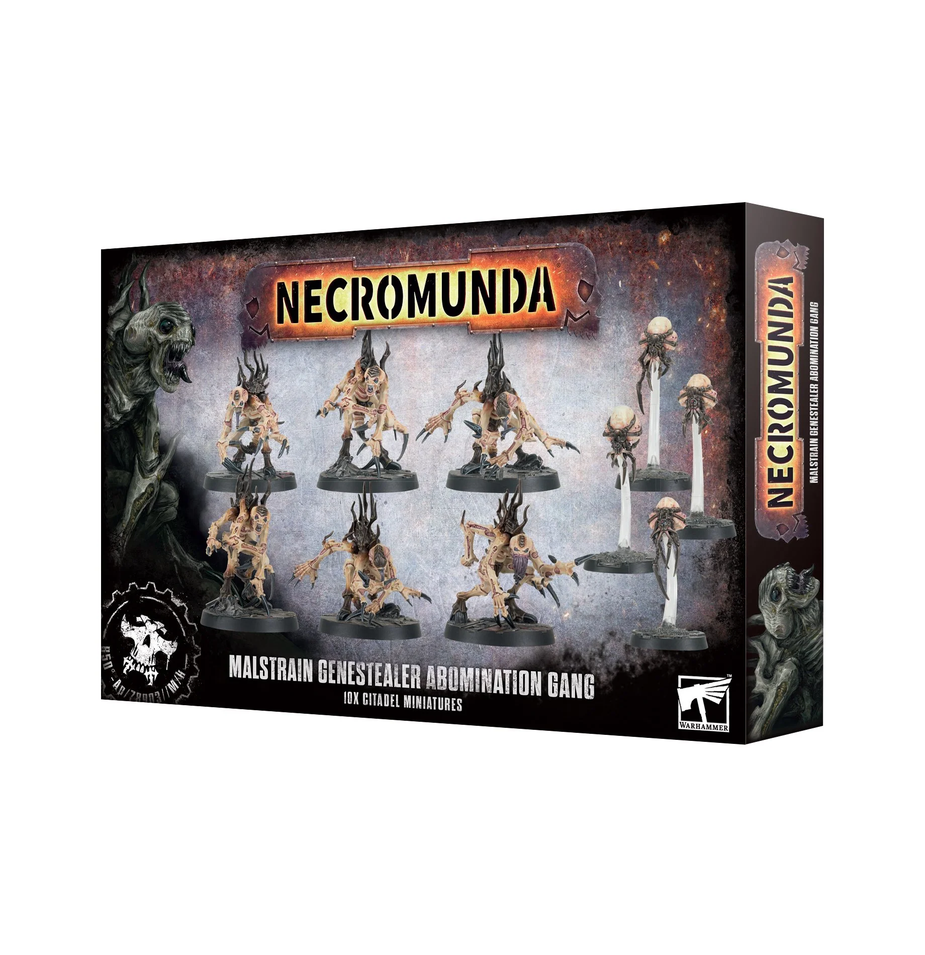 Miniatura 1