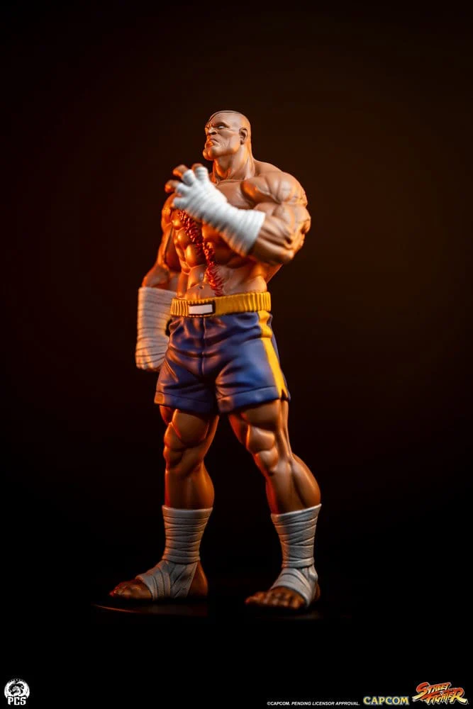 Sagat & Juli Street Fighter Street Jam 1/10 Figurki 24 cm - Image 16