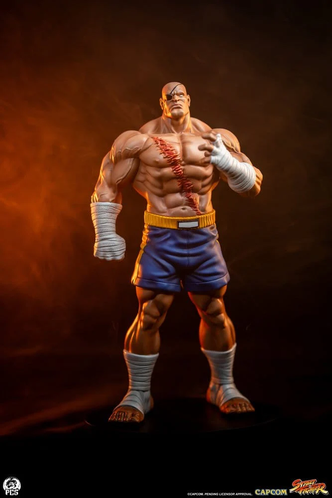 Sagat & Juli Street Fighter Street Jam 1/10 Figurki 24 cm - Image 24