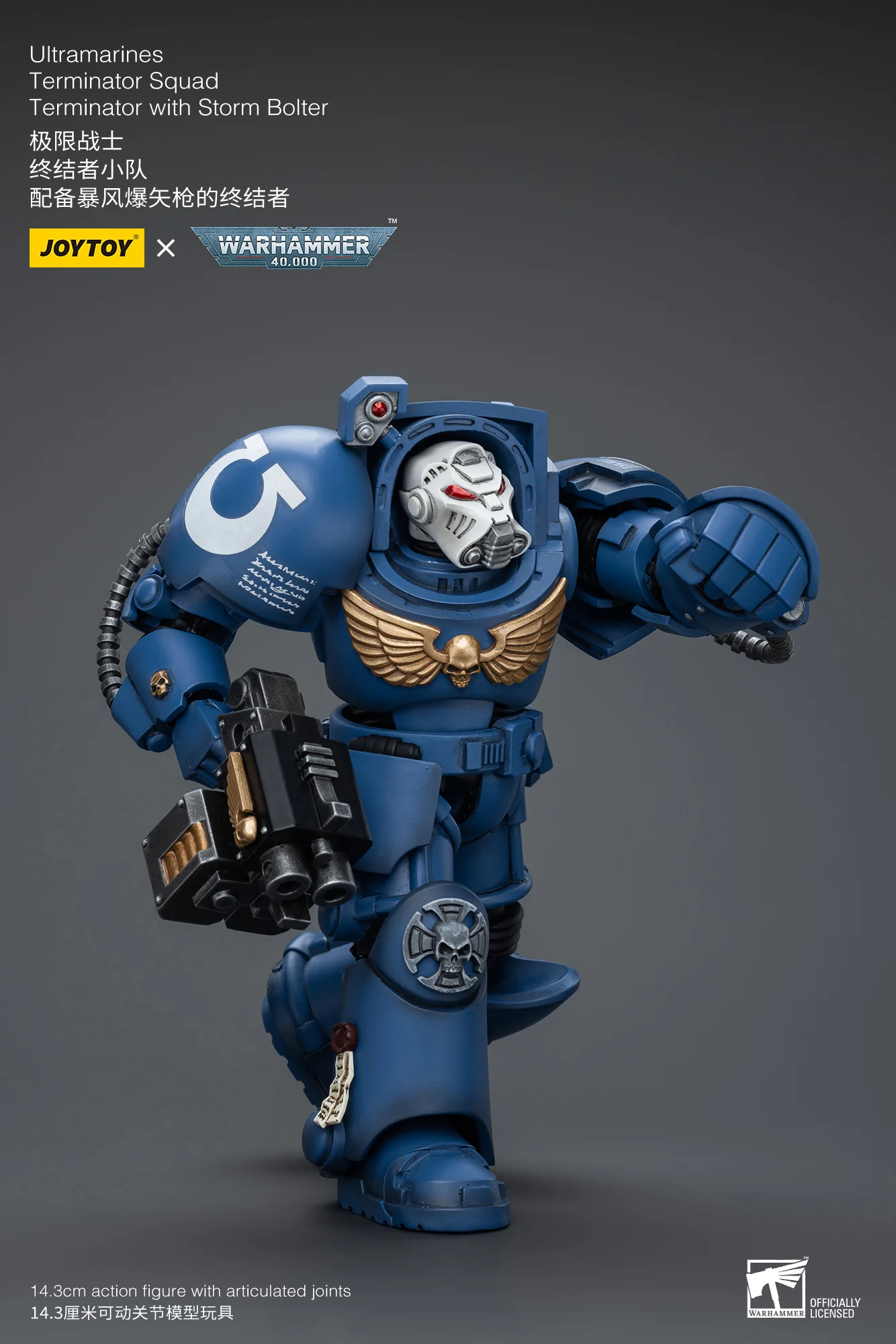 Ultramarines Terminator Squad Terminator with Storm Bolter Warhammer 40k 1/18 Figurka 12 cm - Image 13