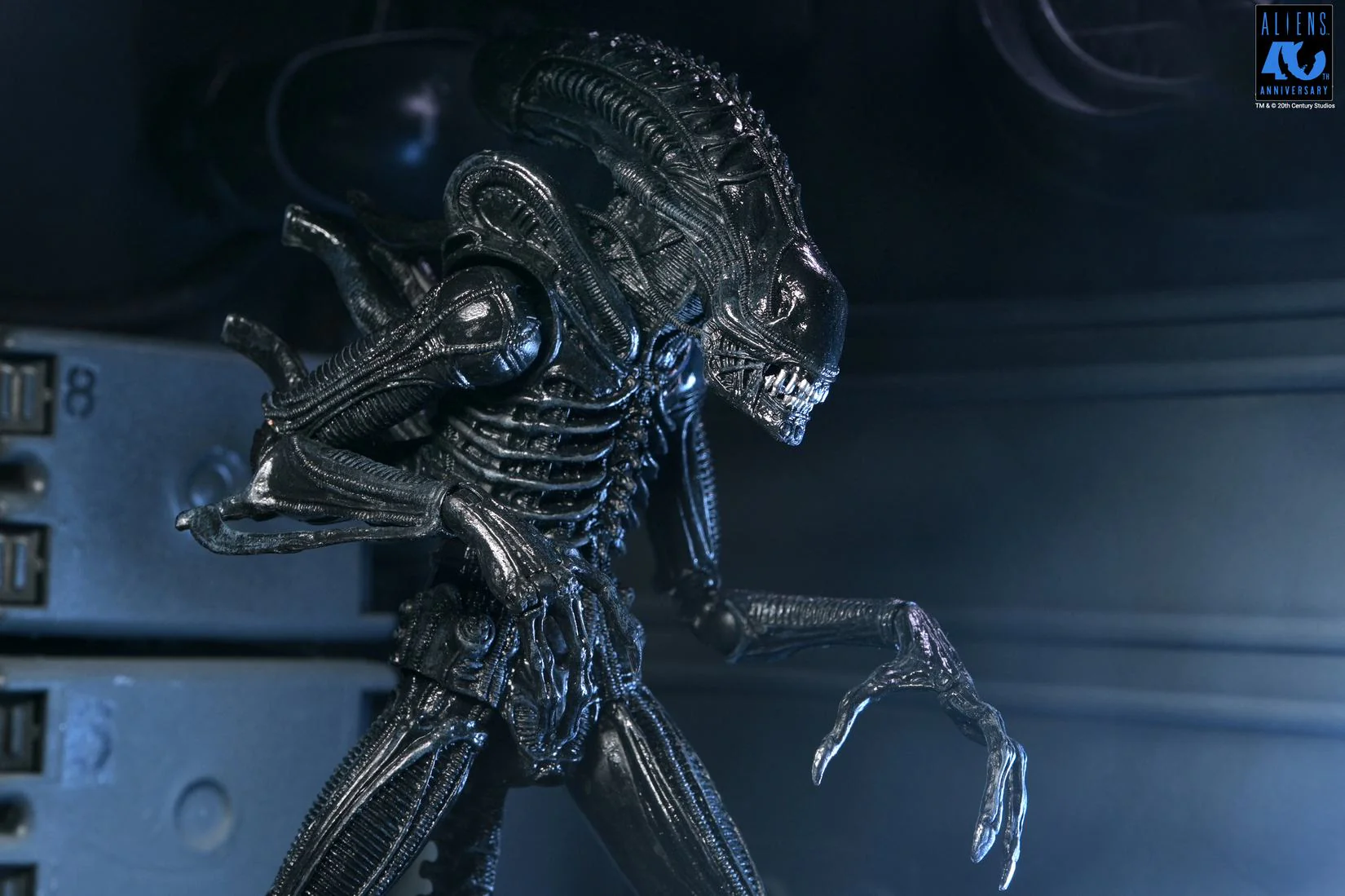 Warrior Xenomorph Black Ultimate Aliens 40th Anniversary Figurka 23 cm - Image 2